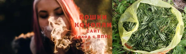 PSILOCYBIN Гусев