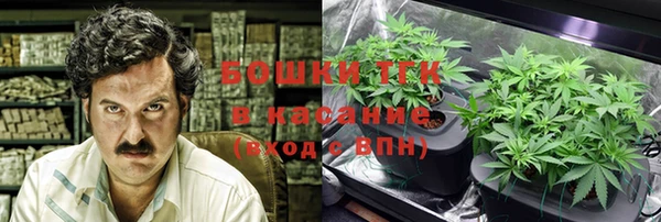 PSILOCYBIN Гусев